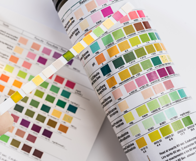 Tetra Easy Strips and Tetra Easy Strips Chart Everything You Need To